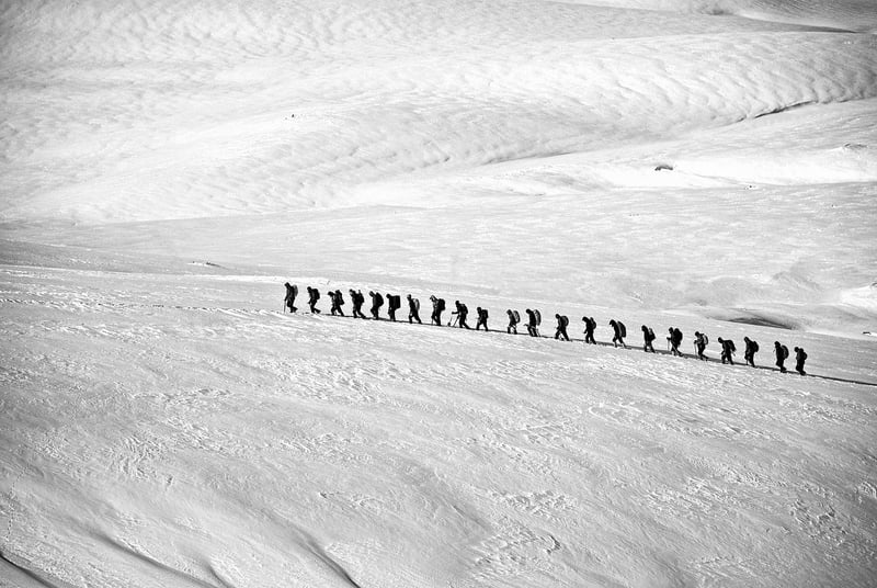 Daring Expedition Journeys