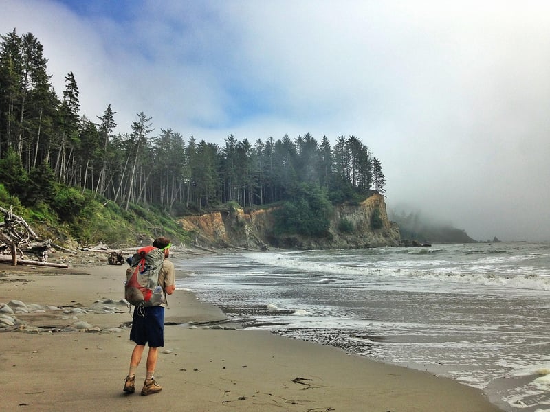 Treehouse Point, Washington